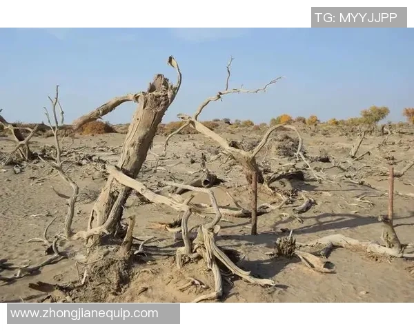 朝鲜足球队因经济困境面临缺水困扰引发广泛关注与讨论